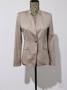 Ann Taylor Shimmery Taupe Single-Button Blazer Size 6P